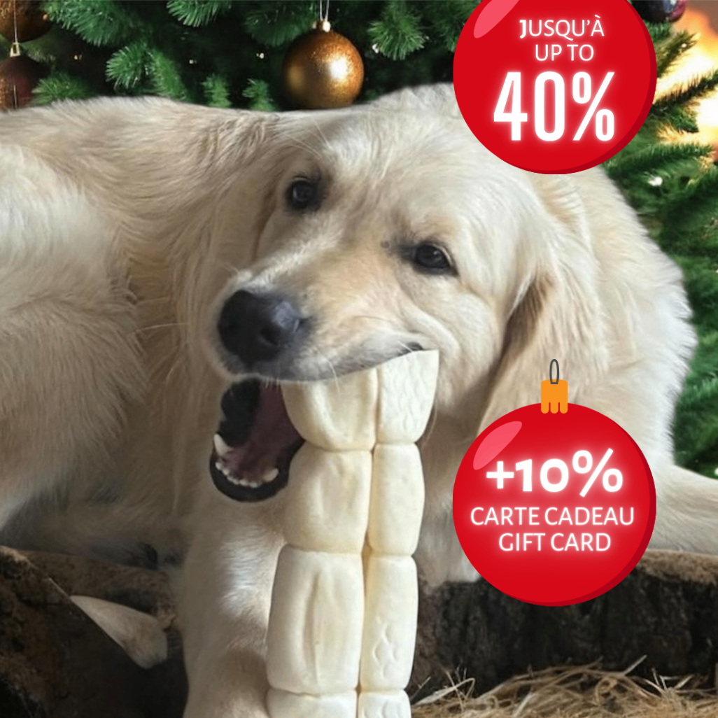Double promotion sur la mastication naturelle pour chien. Marque fièrement québécoise. Bully sticks canadiens, gâteries saines pour chiots et chiens adultes. Boxing Day Sale! Up to 40% off on natural dog chews made in Canada.