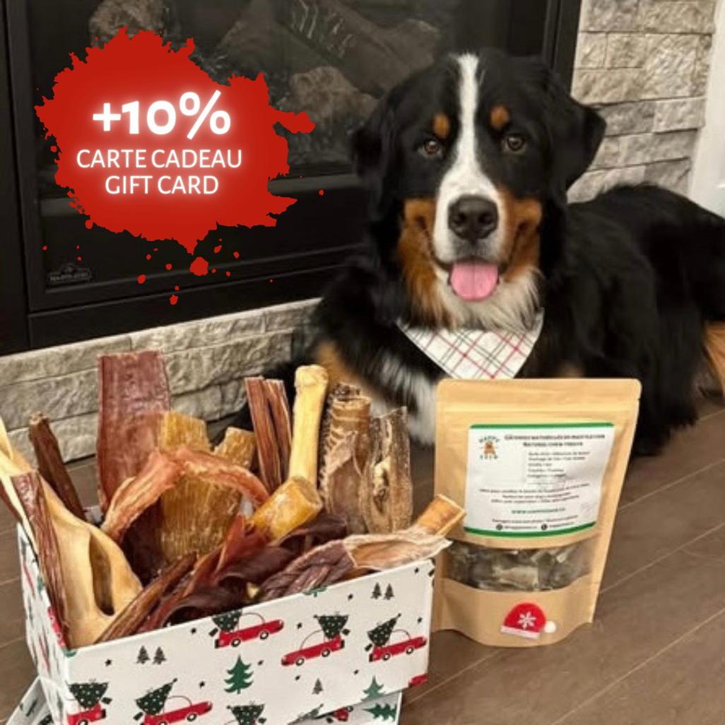 Doublez vos économies! Vente d'après Noel sur la mastication naturelle pour chien, bully sticks canadiens.  Boxing Day Dog Chew Sale, Double savings on made in Canada Bully Sticks