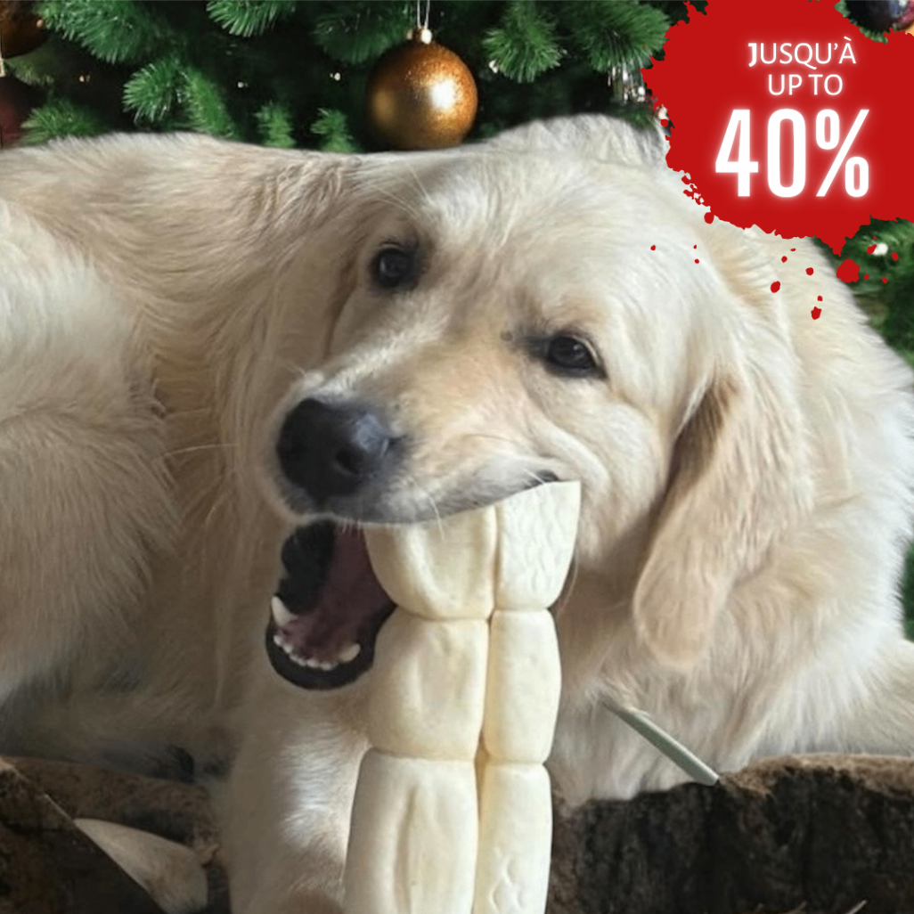 Solde d'Après-Noel sur la mastication naturelle pour chien. Marque fièrement québécoise. Bully sticks canadiens, gâteries saines pour chiots et chiens adultes. Boxing Day Sale! Up to 40% off on natural dog chews made in Canada.