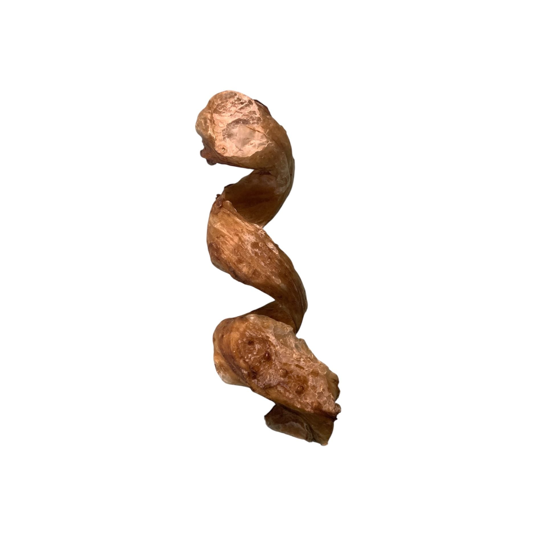 vessie de boeuf mastication chien, beef bladder dog chew