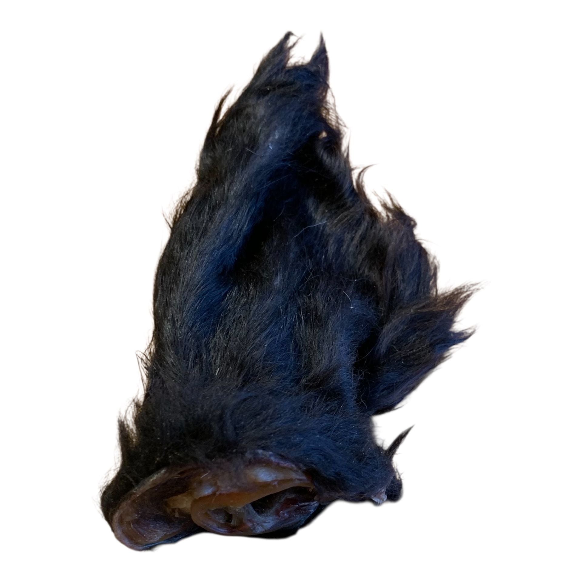 oreille de boeuf pour chien, beef ear with fur dog chew