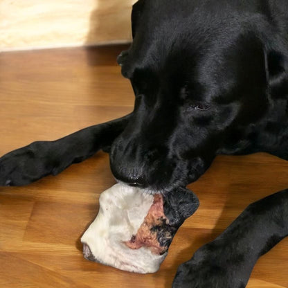 nez de boeuf pour chien, beef snout dog chew made in Canada, labrador 