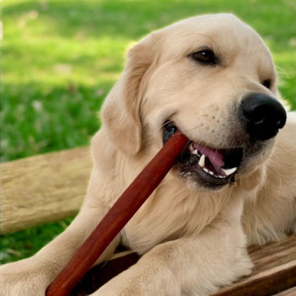 Méga vente collagène pour chien!  Jusqu'à 35% de rabais sur la mastication naturelle: bâtons, anneaux, tresses. Up to 35% off on natural collagen sticksring and braided chews for dogs. Delivery in Canada