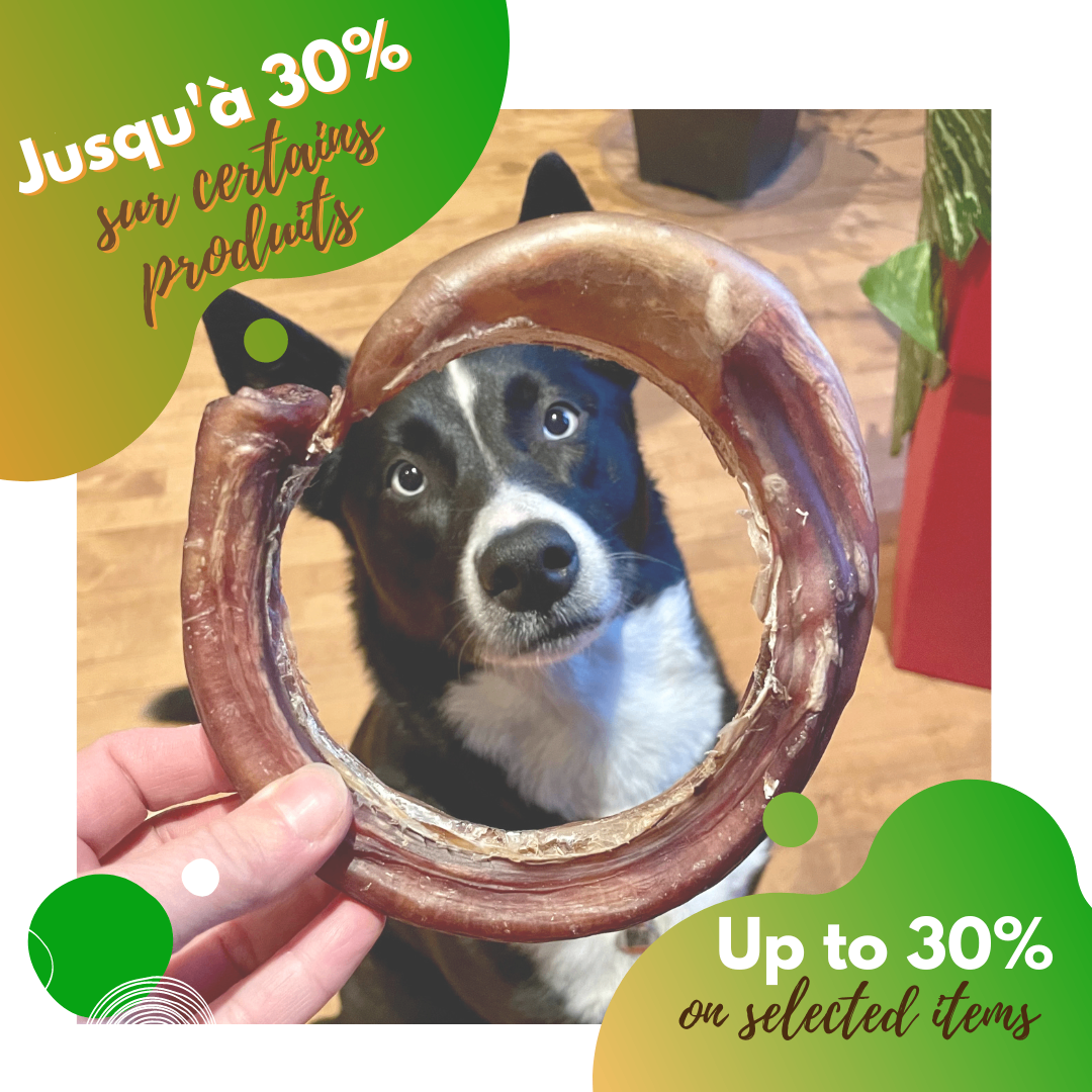 Spécial automne! Jusqu'à 30% de rabais sur la mastication naturelle de qualité. Bully stick produit au Canada. Fall sale! Up to 30% on natural dog chews: Canadian bully sticks,yak cheese, collagen stick, cod skin