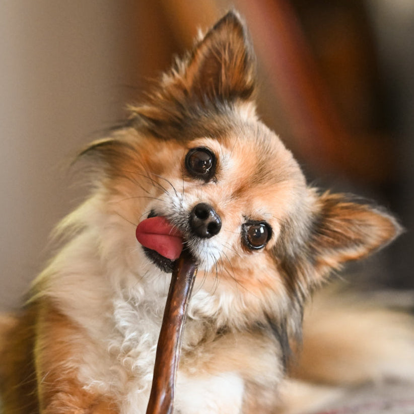 Happy Chew la marque de mastication de qualité! Excellent rapport qualité-prix. Économisez   jusqu'à 20%! Bully sticks canadiens, collagènes, fromages de yak! Canadian bully sticks brand! Quality at low price! Save up to 20% on long lasting dog chews.