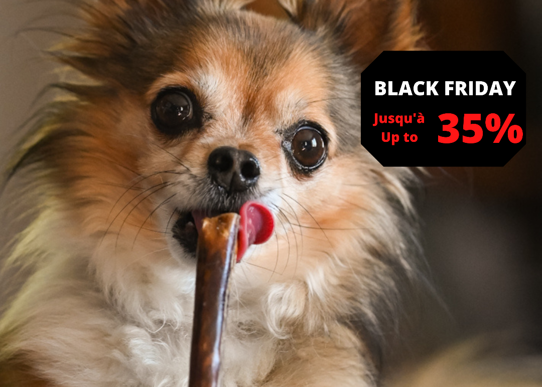 Black Friday jusqu'à 35% de rabais sur tout!  Bully sticks canadiens, collagène, fromage de yak, ensemble chiot, bully holder. Friandises naturelles pour chien. Os pour chien. Black Friday Sale Up to 35% on Natural Dog Chews: Bully sticks, Yak Cheese,  puppy chew pack.