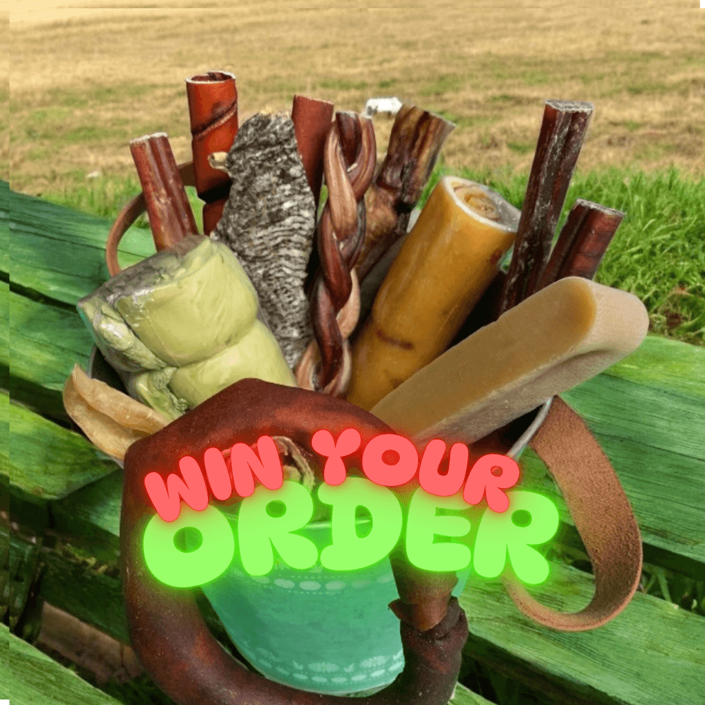 GAGNE TA COMMANDE DE MASTICATIONS, WIN YOUR DOG CHEWS ORDER
