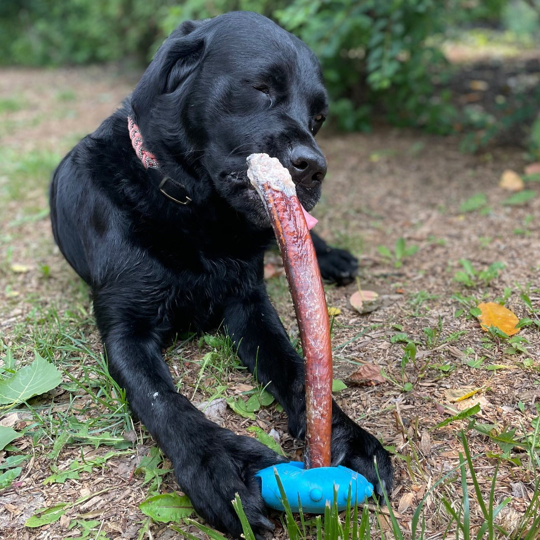 Happy Chew mega monster bully stick. Made in Canada Bully sticks for power chewer, labrador