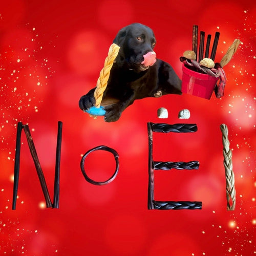 Gâteries de Noel pour chien, bully sticks et collagène. Christmas Dog Chews! Cadeau Noel pour chien.