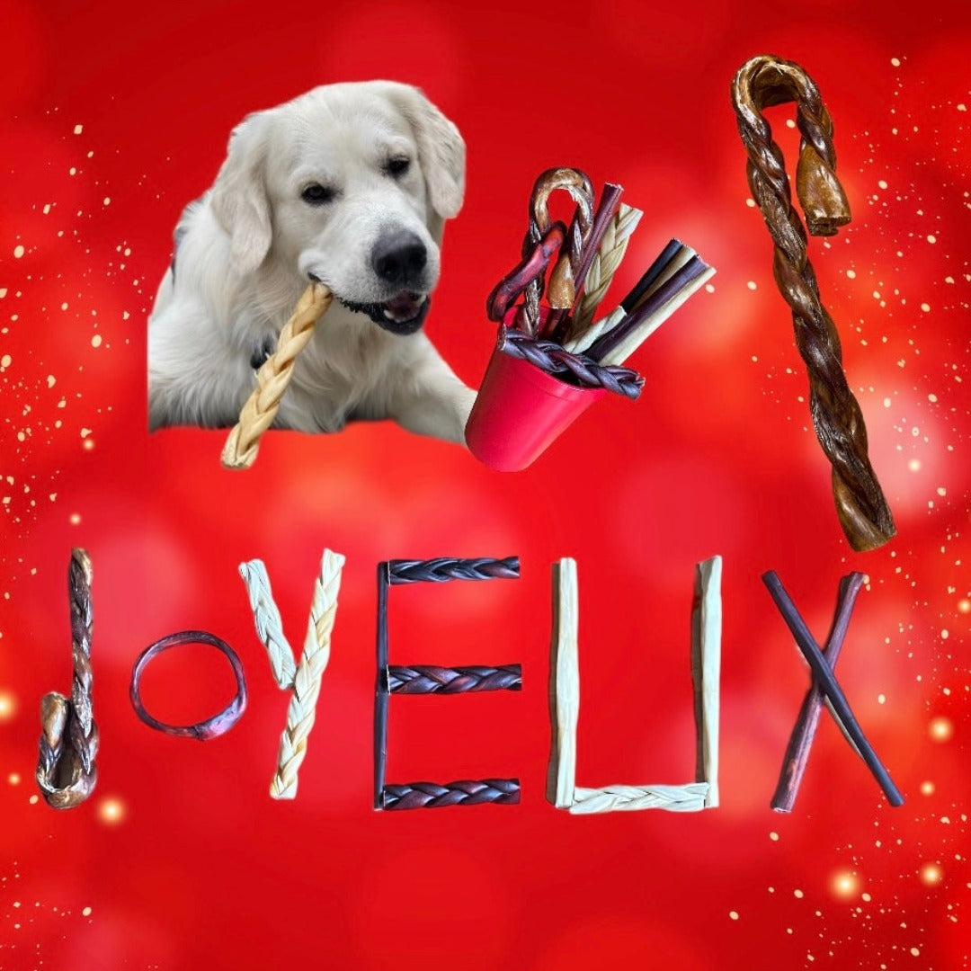 Ensemble canne de Noël pour chien, Bully sticks, Christmas Dog Chews, Christmas Bully Sticks, Christmas Canes