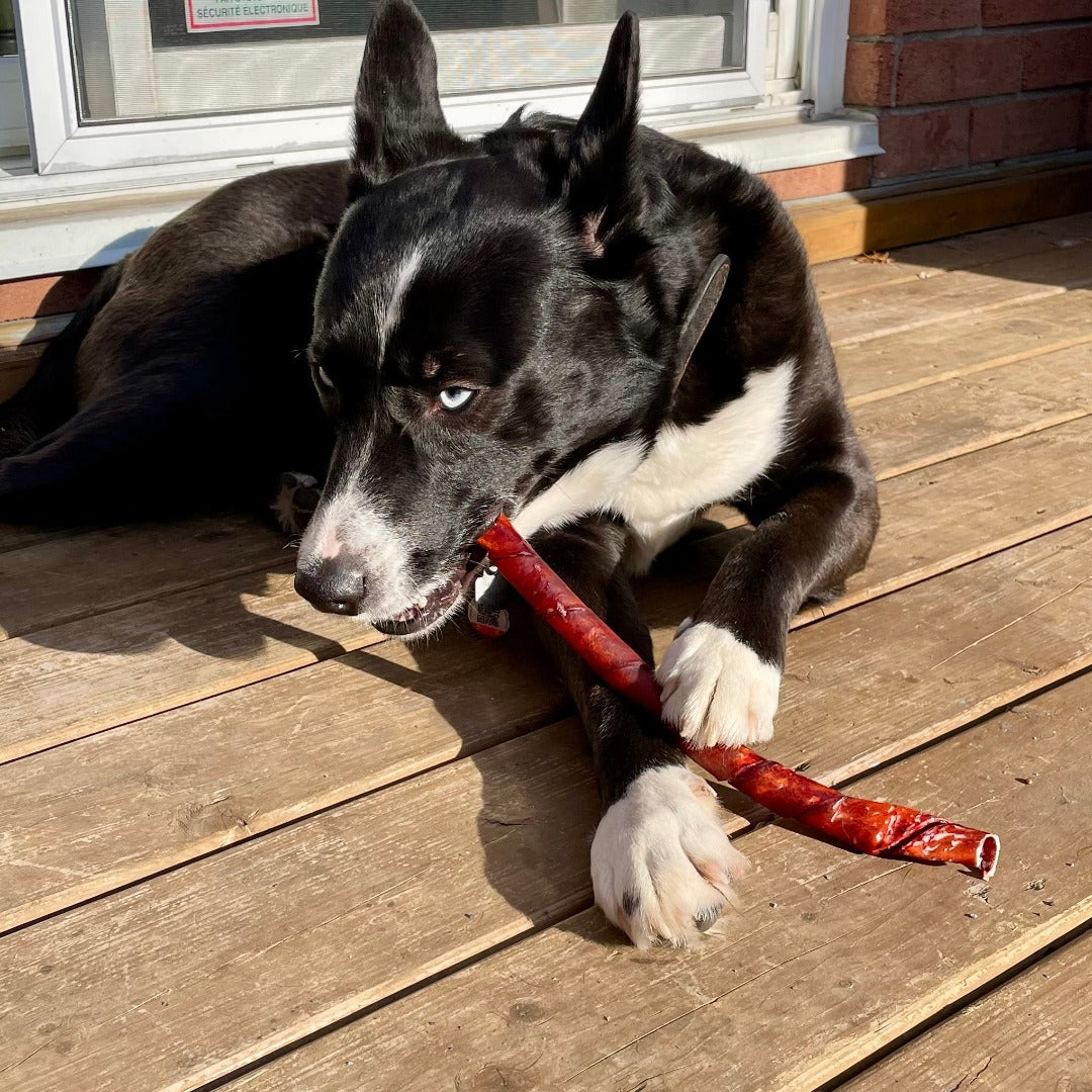 Happy Chew collagène pour chien, Collagen twist  for dog