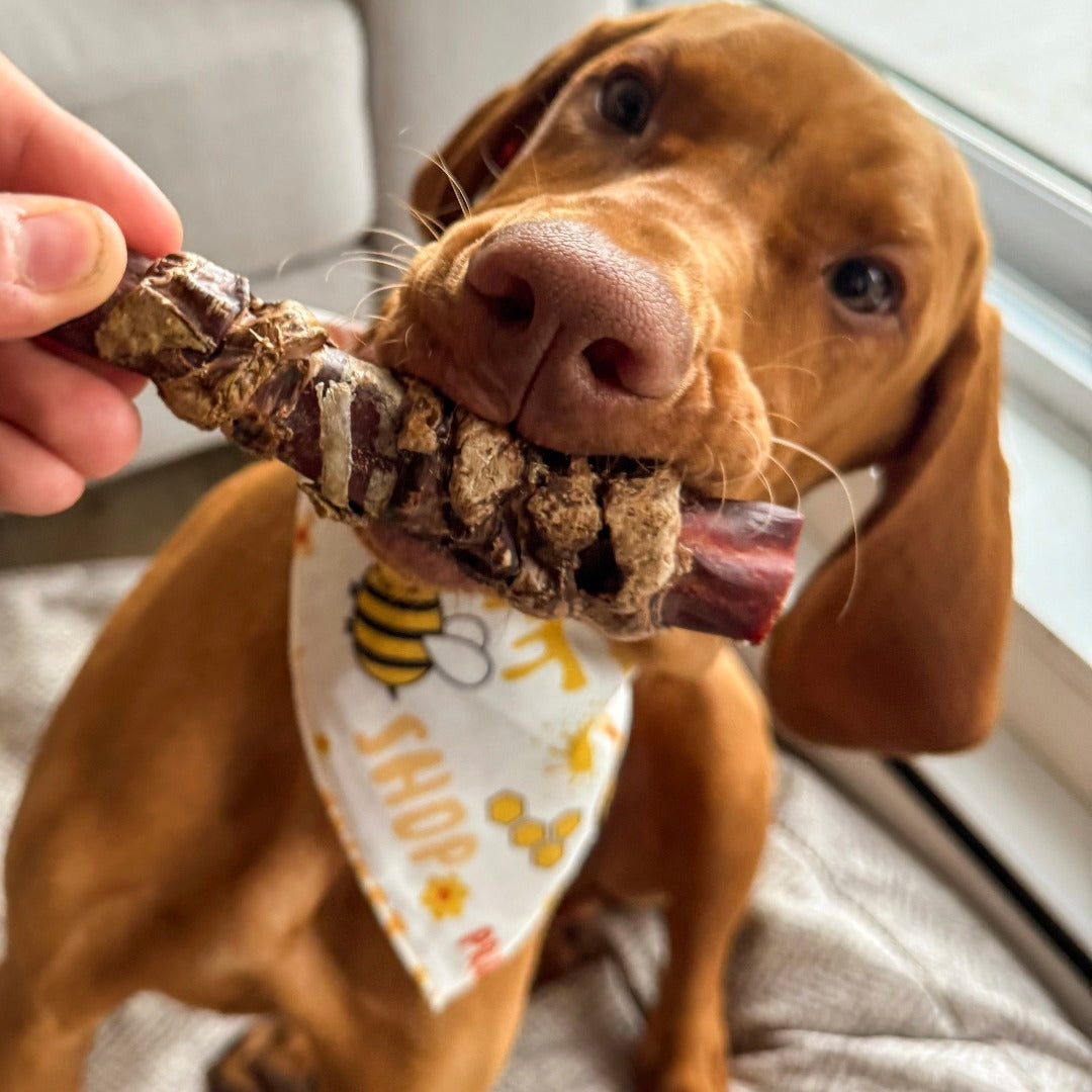 Bâton de collagène et tripe de boeuf, gâterie durable et alléchante, collagen and beef tripe, vizsla