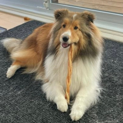 Nouveau combo bully stick économique,  new saving bully sticks pack