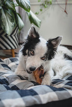 Charger l&#39;image dans la galerie, Happy Chew oreilles de boeuf au Québec, cow ear dog chew treat in Quebec
