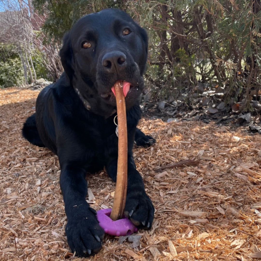 Happy Chew bully stick monster au Québec,odor free monster dog chew bully stick in Quebec, os naturel pour chien