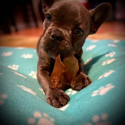 Happy Chew ensemble mastication pour chiot au Québec, bully sticks pour chiot, puppy chew pack in Quebec, puppy bully sticks 