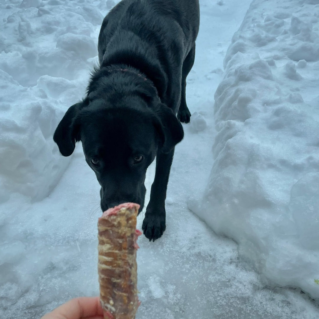 Happy Chew trachées de boeuf au Québec, dog chew beef trachea in Quebec