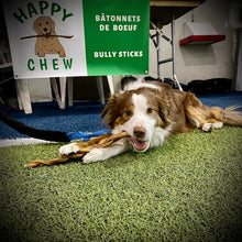 Charger l&#39;image dans la galerie, Happy Chew bully stick tressé jumbo au Québec, braided jumbo bully stick in Quebe
