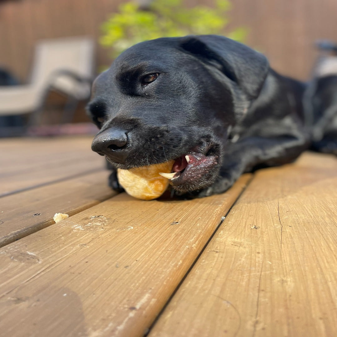 Happy chew mini fromage de yak pour faire popcorn, yak cheese nuggets for dog, DIY dog popcorn