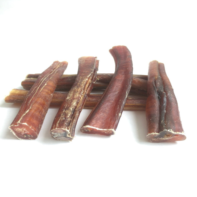 Happy Chew bully stick au Québec, dog chew treat in Quebec, 6 pouces jumbo