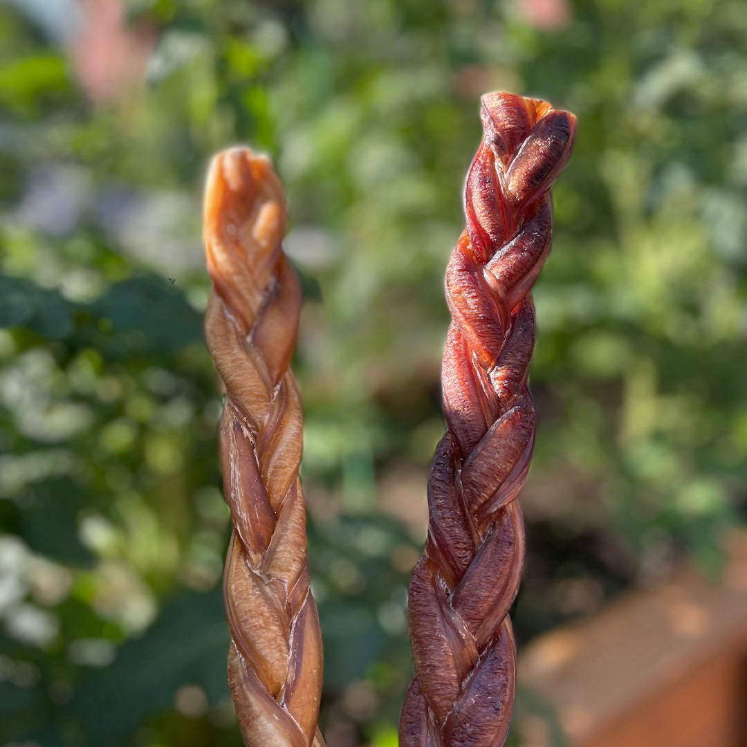 Monster Bully stick tressé au Québec, monster braided bully sticks in Quebec, dog chew treat braided