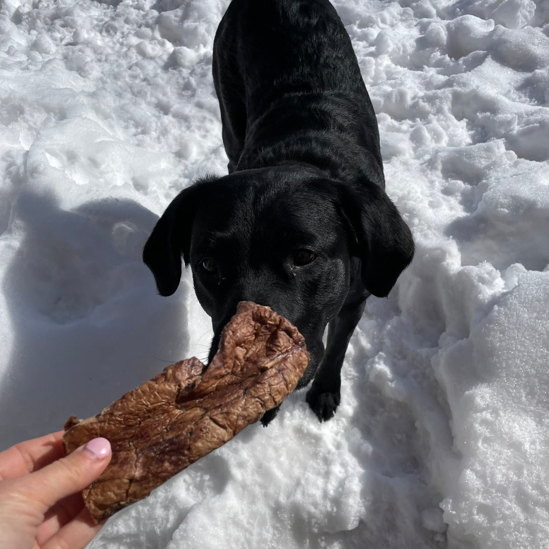 Poumon de boeuf au Québec, beef lung dog treats in Quebec