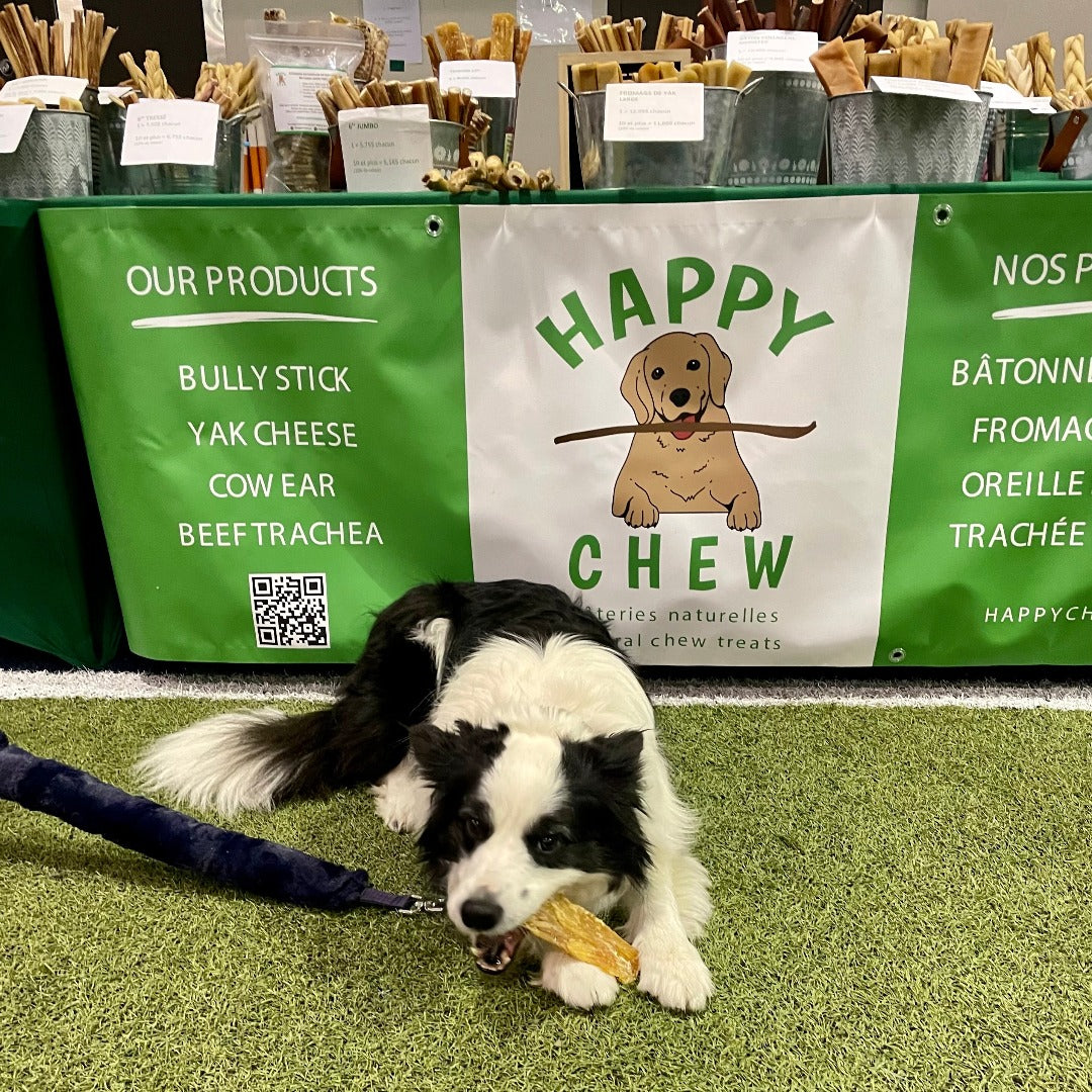 Happy Chew tendons de boeuf au Québec, beef backstrap dog chew treat in Quebec