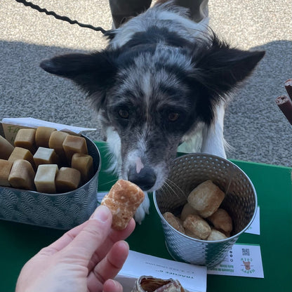 sac de gâterie pour chien Happy Chew, variety dog treats pack Happy Chew, natural dog treats, one ingredient dog treat